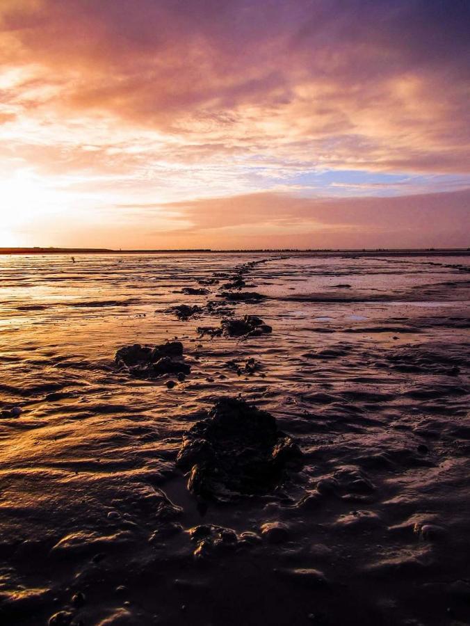 Villa Vissershuisje Aan De Waddenzee Paesens Exterior foto